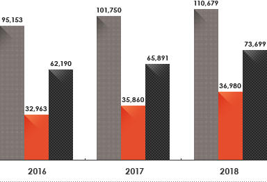 2015 : Assets 90.721/Liabilities 31,764/Stockholders’ Equity 58,948, 2016 : Assets 95,153/Liabilities 32,963/Stockholders’ Equity 62,190, 2017 : Assets 101,750/Liabilities 35,860/Stockholders’ Equity 65,891